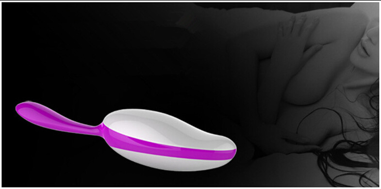 Sex Toy Female Vibration MassagerRemote Control Wireless Anal Egg Vibrator