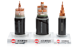 Shenzhen Chengtiantai Cable Industry Development Co.,Ltd