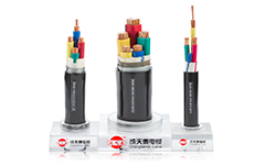 Shenzhen Chengtiantai Cable Industry Development Co.,Ltd