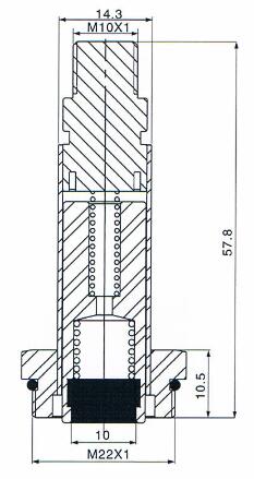 drawing of stem