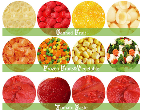 Nutritious Canned Organic Pineapple Fruit Chunks In Normal Temperature