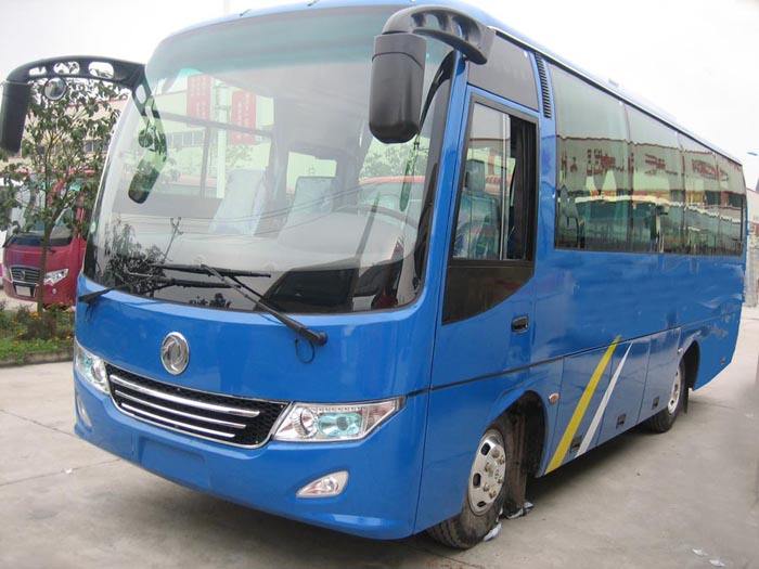 Coach