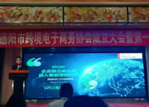 德阳跨境掘金，宜选领航助力