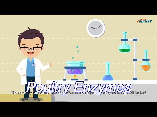 Thermostable 2000U/G Poultry Enzymes Glucose Oxidase Enzyme