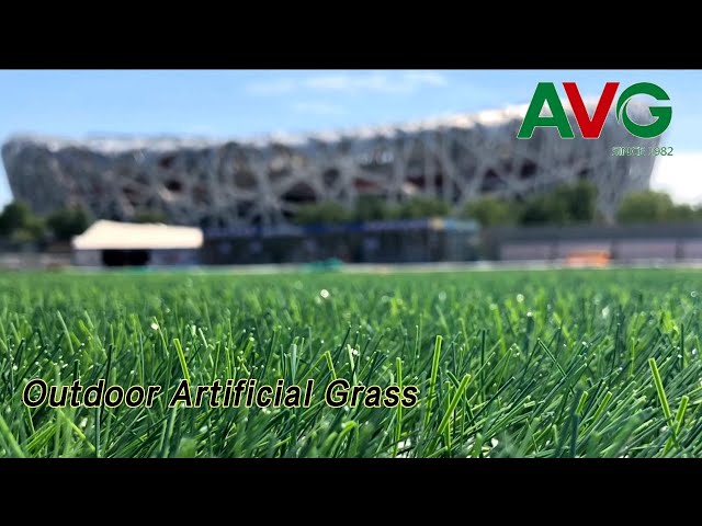 PE PP Outdoor Artificial Grass Wear Resistance Evergreen High Density