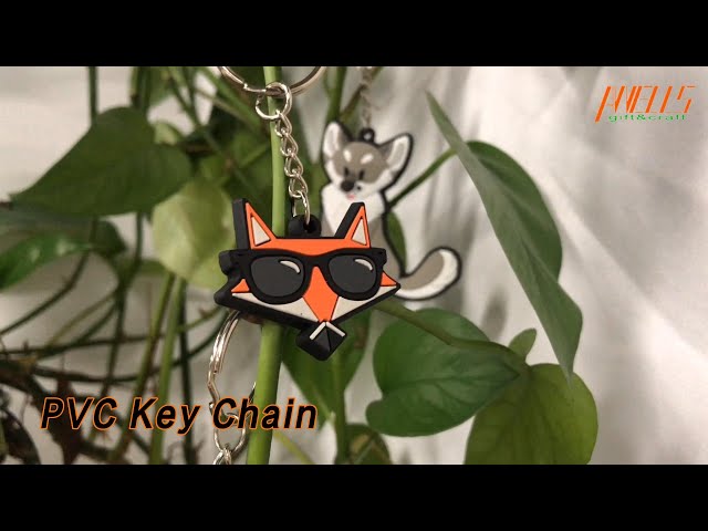 Soft PVC Key Chain PMS Color 2D / 3D Both Sides Custom Waterproof