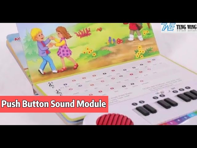 Custom Mold Recordable Push Button Sound Module Durable for Children Board Books