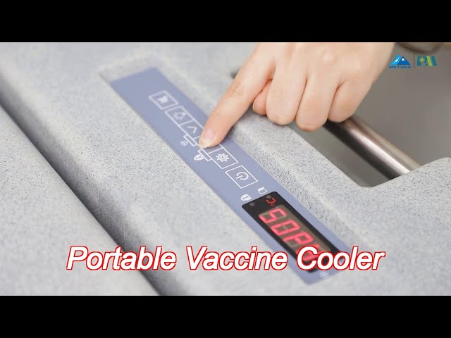 Minus 25 Degree Cryogenic Equipment 80L Mini Portable Medical Vaccine Blood Transport Car Mobile Coo