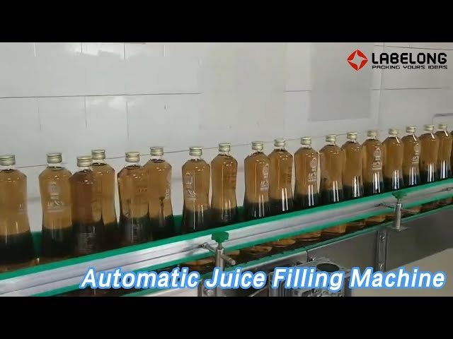 Rotary Automatic Juice Filling Machine 500ml PET / Glass Bottle