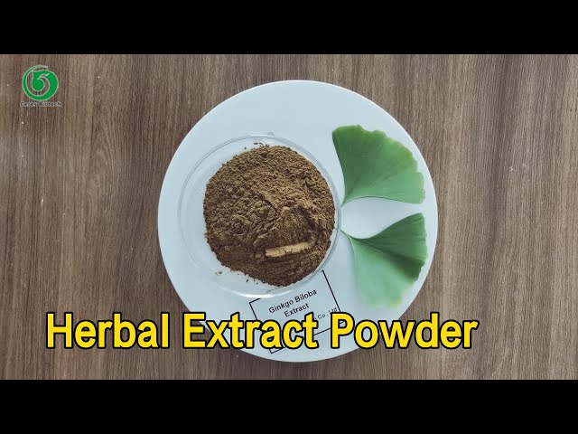 Natural Herbal Extract Powder Polyporus Umbellatus Garlic Ginkgo Biloba