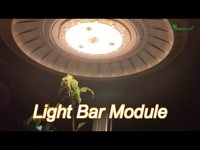 40W Light Bar Module Ac110V 220V Cob Led Chip For Indoor Greenhouse Plants