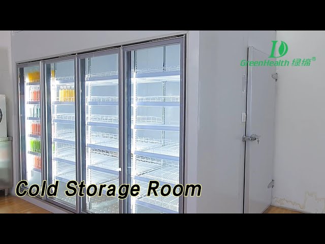 Glass Door Cold Storage Room Freezer Back Load For Frozen Food