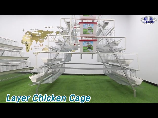 Q235 Layer Chicken Cage 4 Tiers Automatic Feeding For Poultry Farm