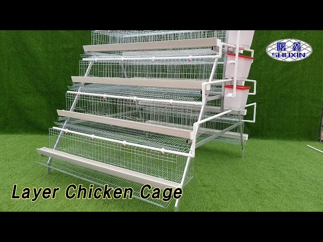 A Type Layer Chicken Cage Q235 Steel Galvanized Space Saving