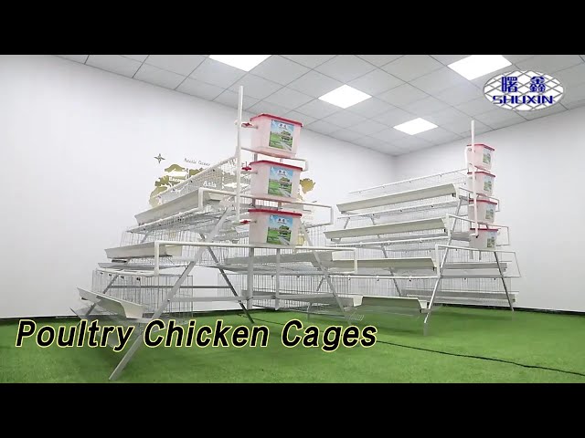Galvanized Poultry Chicken Cages 96 Birds Metal Corrosion Protection