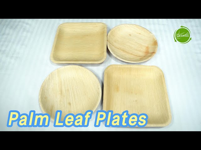 Natural Palm Leaf Plates 8 / 10 Inch Biodegradable Disposable For Food