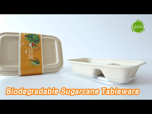 Food Biodegradable Sugarcane Tableware 1L Rectangle Microwavable Disposable