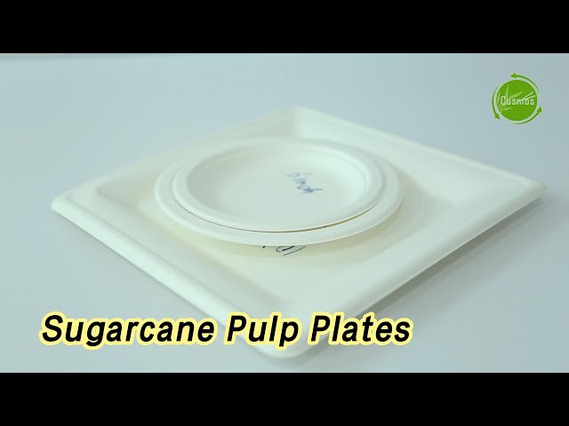 Dessert Sugarcane Pulp Plates 6 Inch Round Compostable Brown White