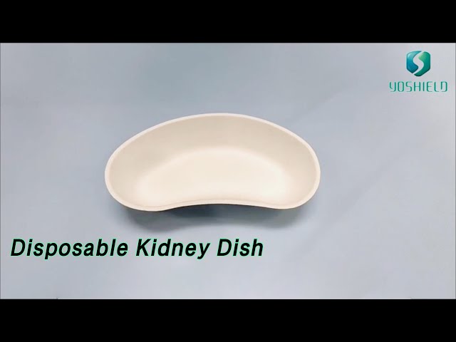 Medical Disposable Kidney Dish 700ml Cane Pulp Class I Waterproof