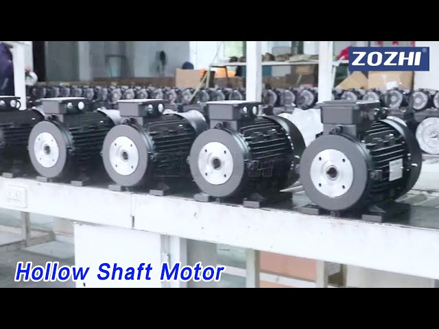 Induction Hollow Shaft Motor 3 Phase 1430RPM IP54 For Cleaning Machine