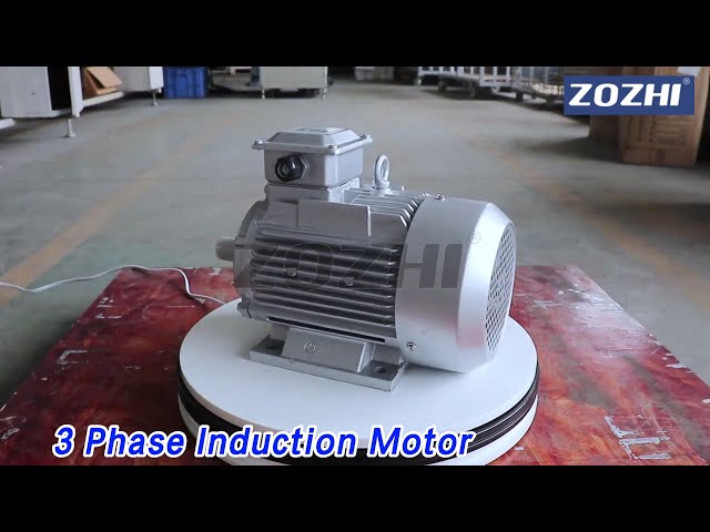 Cast Iron 3 Phase Induction Motor Asynchronous  IP55 0.75kw 1Hp High Efficiency
