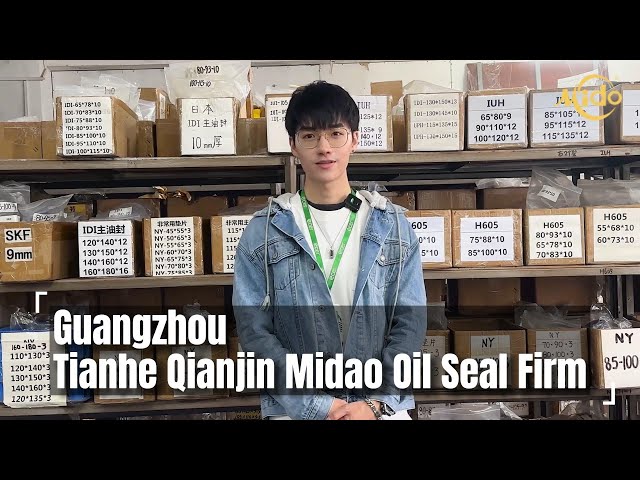 Guangzhou Tianhe Qianjin Midao Oil Seal Firm - Seal Kits Manufacturer