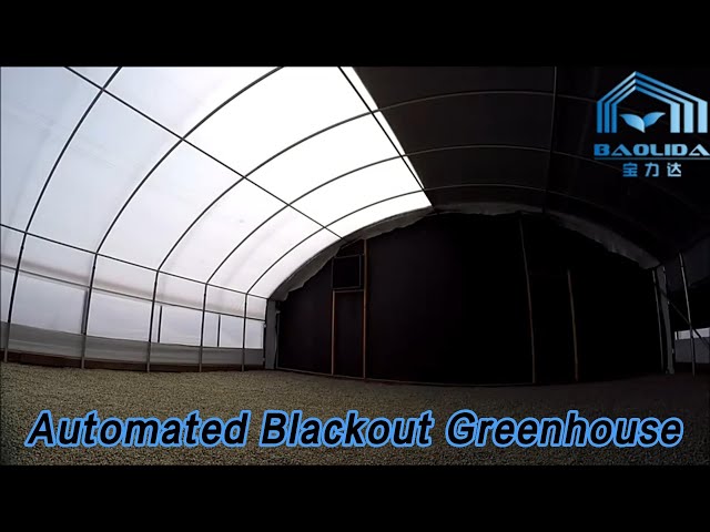 PE Film Automated Blackout Greenhouse Single Span Heat Preservation Zinc Plating