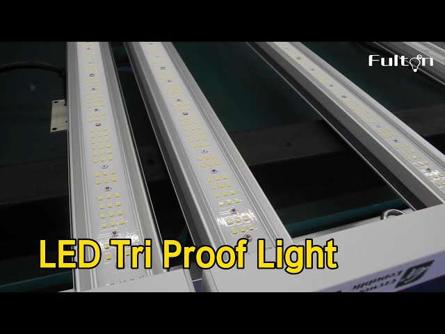 O Series LED Tri Proof Light 60w 170lm/W CCT Power Adjustable Energy Saving