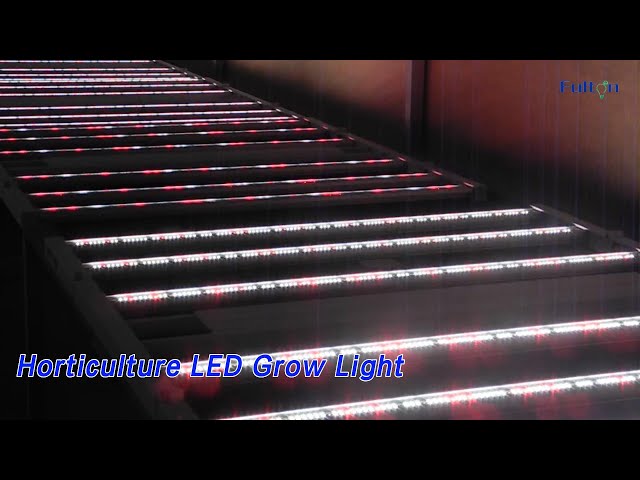 Indoor Horticulture LED Grow Light 520W UV IR Powerful Easy Install