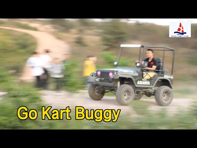 Adult Go Kart Buggy Mini Jeep 300cc Engine For Beach / Forest