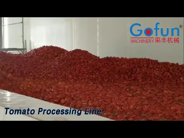 PLC Tomato Processing Line Concentrate Paste SS304 Energy Saving
