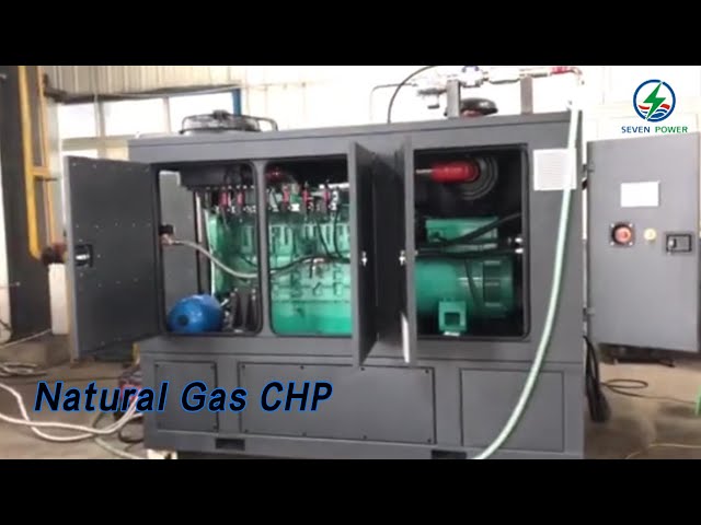 Stainless Steel Natural Gas CHP 50Hz 3P4W 150KW Heat Power Combined