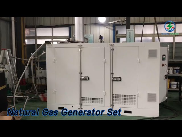 Silent Natural Gas Generator Set 220KW Continuous Running