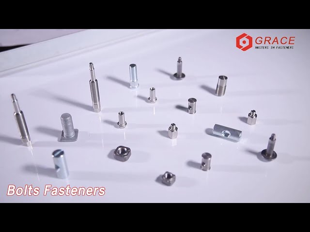 China Factory Wholesale Customized Screws Nuts Fasteners