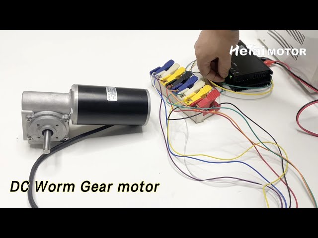 Micro DC Worm Gear Motor 24v 12v 248RPM High Torque For Boat / Car