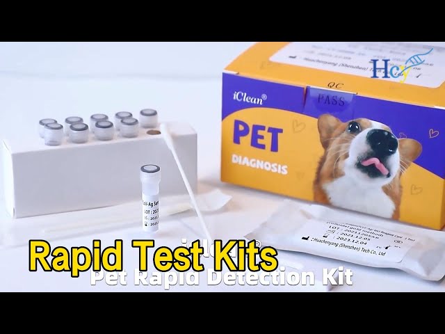 Canine Rapid Test Kits Parvovirus Coronavirus Antibody For Fast Detection