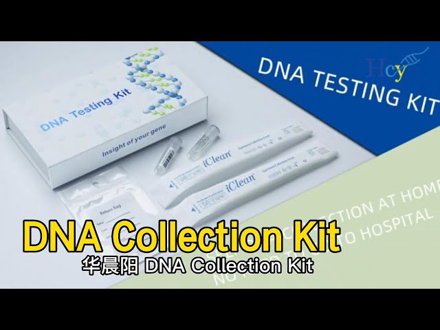 Genetic DNA Collection Kit Flocked Nylon Tip Self Collection For Paternity Test