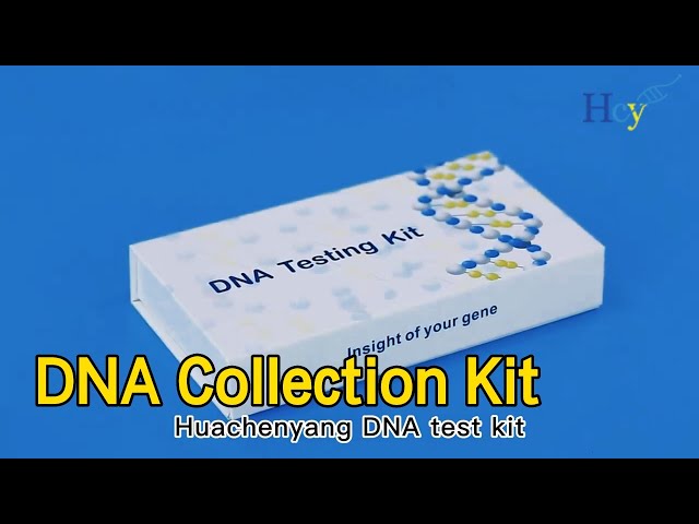 Specimen Collection DNA Collection Kit Flocking Genetic Analysis For Home
