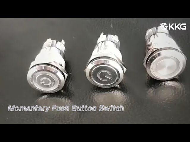 Flat Round Momentary Push Button Switch 2 Pin 12mm Dia IP65 Stainless Steel