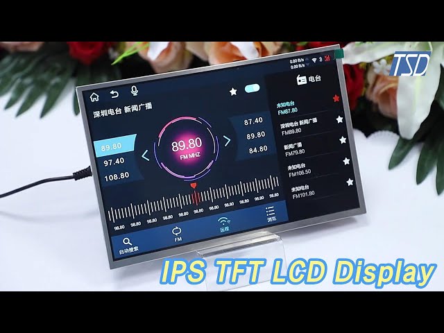 High Brightness IPS TFT LCD Display 10.1 Inch 1280 x 800 Resolution