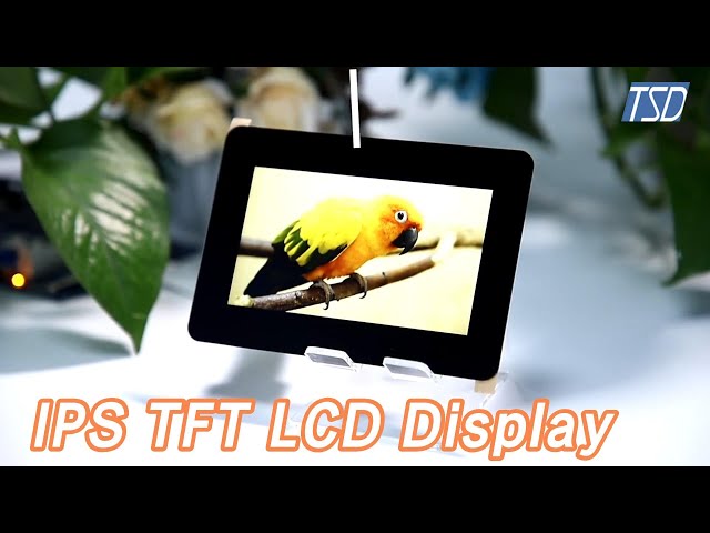 Touch Screen IPS TFT LCD Display 4.3 Inch 480 X 272 24 Bits RGB