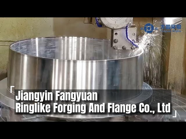 Jiangyin Fangyuan Ringlike Forging And Flange Co., Ltd. - Metal Forgings Factory