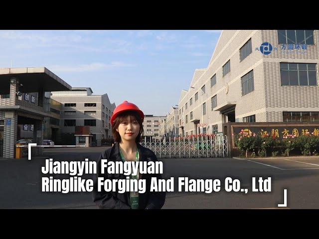 Jiangyin Fangyuan Ringlike Forging And Flange Co., Ltd. - Steel Metal Forgings Manufacturer