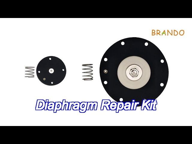 Nbr Diaphragm Repair Kit For Sbfec 3/4“ Dmf-Z-20 Mf-Z-20 Dmf-Zm-20 Mf-Zm-20 Valves