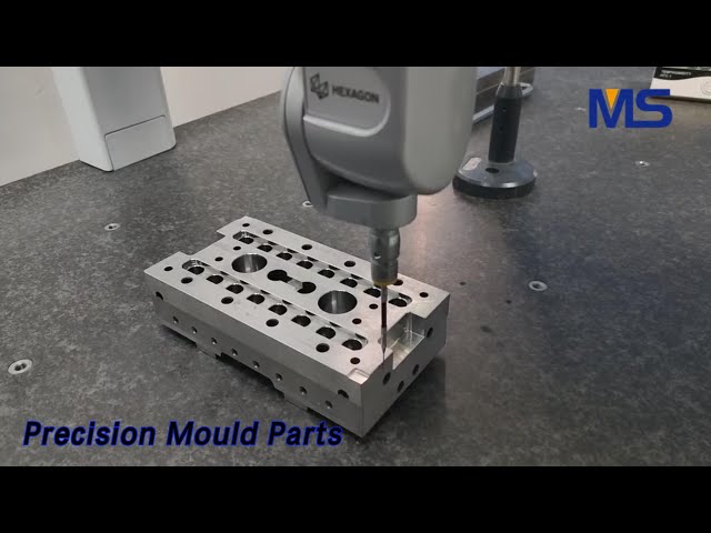 Cavity Precision Mould Parts Silver Customized For Packaging Industry