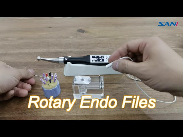 Portable Black / Pink Color Oled Dental Endo Motor Edo-1 Pro For Endodontics