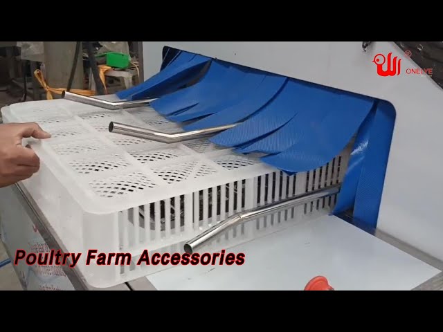 Plastic Poultry Farm Accessories Cage 4 Partitions For Chick Transport