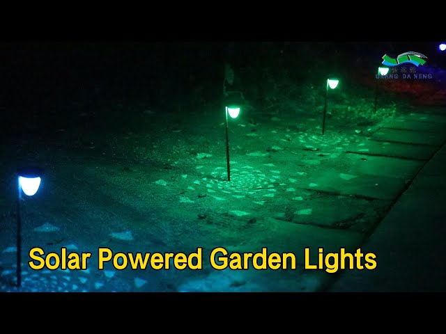 Constant / RGB Solar Powered Garden Lights Waterproof For Decoration