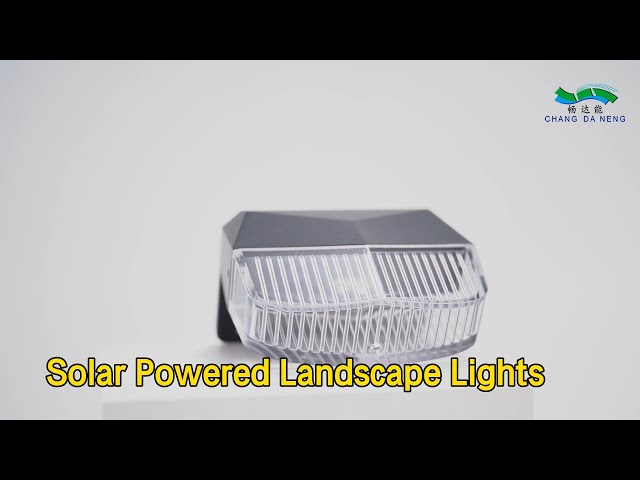 Multi Color Solar Powered Landscape Lights RGB LED IP65 For Outdoor