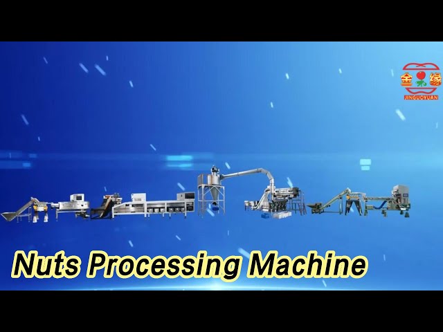 Intelligent Nuts Processing Machine Cracking Shelling For Pecans